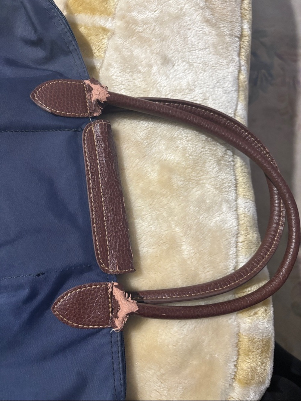 Longchamp Limitee Edition Embroidered Tote Bag - Picture 9 of 12